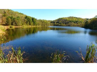 Property photo 89 - LAND AUCTION - 1,050+/- ACRES OFFERED IN 21 TRACTS PLUS 450+/- ACRE HUNTING LEASE IN MUSKINGUM COUNTY, OHIO